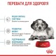 Сухий корм для собак Royal Canin Medium Puppy 4 кг (30030400)