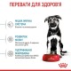 Сухий корм для собак Royal Canin Maxi Puppy 4 кг (30060400)