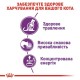 Сухий корм для кішок Royal Canin Sensible 2 кг (2521020)