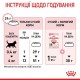 Сухий корм для кошенят Royal Canin Kitten 10 кг (2522100)