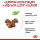 Сухий корм для кошенят Royal Canin Kitten 10 кг (2522100)