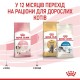 Сухий корм для кошенят Royal Canin Kitten 10 кг (2522100)