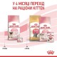 Сухий корм для кішок Royal Canin Mother & Babycat 400 г (2544004)