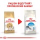 Сухий корм для кішок Royal Canin Siamese Adult 400 г (2551004)