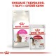 Сухий корм для кішок Royal Canin Savour Exigent 2 кг (2531020)