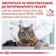 Сухий корм для котів при цукровому діабеті Royal Canin Diabetic 1.5 кг (39060151)