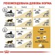 Сухий корм для кішок Royal Canin British Shorthair Adult 400 г (2557004)