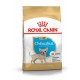 Сухий корм для собак Royal Canin Chihuahua Puppy 500 г (24380051)