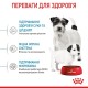 Сухой корм для собак Royal Canin Starter Mother & Babydog - Mini 1 кг (2990010)