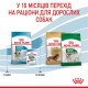 Сухой корм для собак Royal Canin Mini Puppy 800 г (30000082)