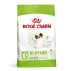 Сухий корм для собак Royal Canin X-Small Adult 500 г (1003005)