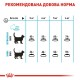 Сухий корм для котів Royal Canin Urinary Care 400 г (1800004)