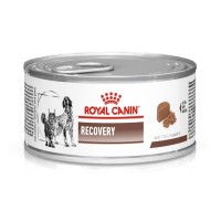 Вологий корм для собак та котів у період відновлення після хвороби Royal Canin Recovery 195 г (40550021)