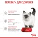 Вологий корм для котів Royal Canin Mother & Babycat Ultra soft mousse 195 г (4098002)