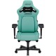 Крісло для геймерів Anda Seat Kaiser 4 Size XL Green (AD12YDDC-XLL-20-E-PV/C)