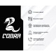 Персональний комп`ютер COBRA Optimal (A43GE.8.S2.INT.2699)