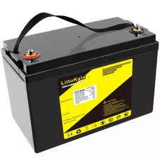 Акумуляторна батарея LiitoKala LiFePO4 12V120Ah(4S2P)