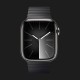 Apple Watch Series 9 41mm GPS + LTE, Graphite Stainless Steel Case with Space Black Link Bracelet (2023)