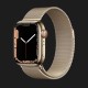 Apple Watch Series 7 45mm Gold Stainless Steel Case with Gold Milanese Loop (MKJG3)