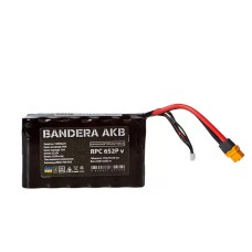 Збірка акумуляторна LiIon 6s2p Samsung 21700 8400 mah 90A INR21700-50S вертикальна для FPV Bandera AKB Промавтоматика (ЦБ021740041)