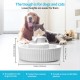 Автоматическая керамическая поилка Petwant PWC-101 Ceramic Pet Water Fountain, 2,1 л, тихий автоматический фонтанчик, диспенсер воды, для животных