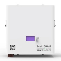 Акумулятор Dipower Wall Mounted 25,6V/100AH, 2560W*h (літій-залізо-фосфатний акумулятор для ДБЖ (UPS))