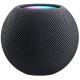 Apple HomePod mini (Space Gray) (MY5G2)