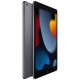 Планшет Apple iPad 10.2 256GB, Wi-Fi (Space Gray) 2021 (MK2N3)