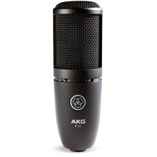 AKG P120