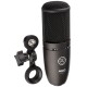 AKG P120