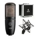 AKG P220