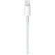 Кабель Lightning Apple Lightning to USB Cable 2m (MD819)