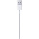 Кабель Lightning Apple Lightning to USB Cable 2m (MD819)