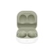 Наушники Samsung Galaxy Buds2 Olive (SM-R177NZGASEK)