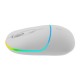 Мышка Canyon MW-22 Dual Band RGB Wireless Snow White (CNS-CMSW22SW)