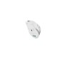 Мышка A4Tech FG45CS Air Wireless Silver White (4711421992930)