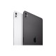 Планшет Apple iPad Pro 13" M4 WiFi + Cellular 2TB with Standard glass Silver (MVY03NF/A)