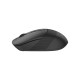 Мышка A4Tech FG10CS Air Wireless Stone Grey (4711421991810)