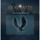 Игра Xbox Hogwarts Legacy, BD диск (5051895413432)