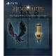 Игра Sony Hogwarts Legacy, BD диск (5051895413425)