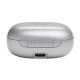 Наушники JBL Live Flex Silver (JBLLIVEFLEXSVR)