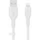 Дата кабель USB 2.0 AM to Lightning 2.0m White Belkin (CAA008BT2MWH)