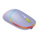 Мышка Canyon MW-22 Dual Band RGB Wireless Mountain Lavender (CNS-CMSW22ML)