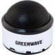 Акустическая система Greenwave PS-300M silver-black (R0015123)