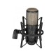 Мікрофон AKG P220 Black (3101H00420)