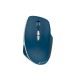 Мышка Canyon MW-21 Wireless Blue LED Blue (CNS-CMSW21BL)