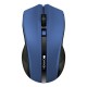 Мышка Canyon MW-5 Wireless Blue-Black (CNE-CMSW05BL)