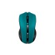 Мышка Canyon MW-5 Wireless Green-Black (CNE-CMSW05G)